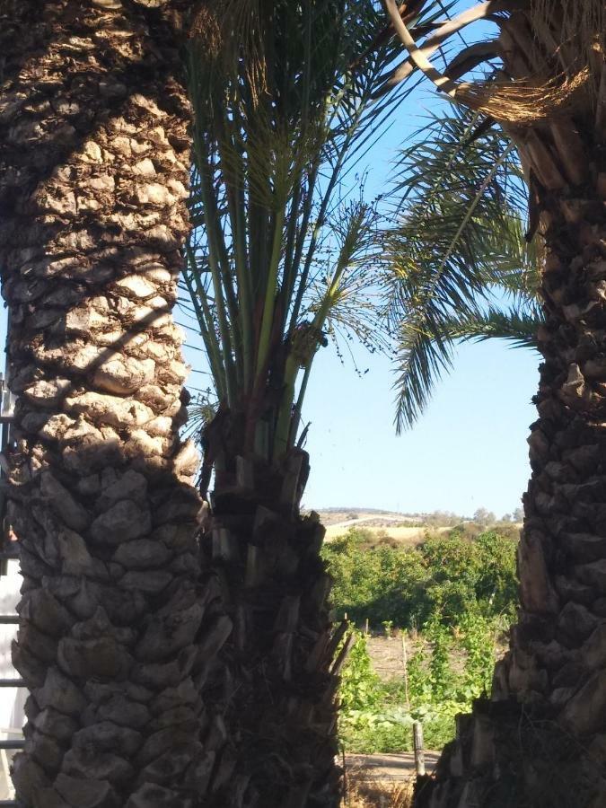 Argaka Palm Tree Apts 外观 照片