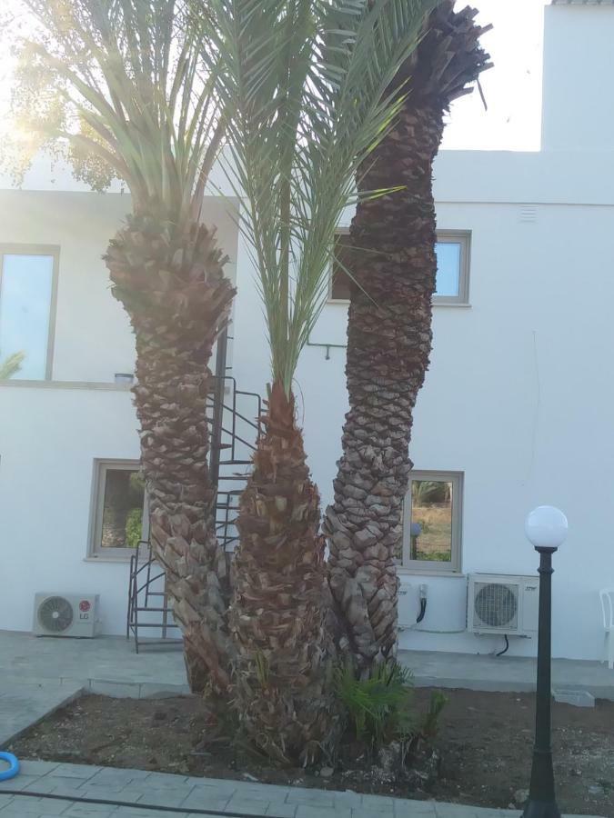 Argaka Palm Tree Apts 外观 照片